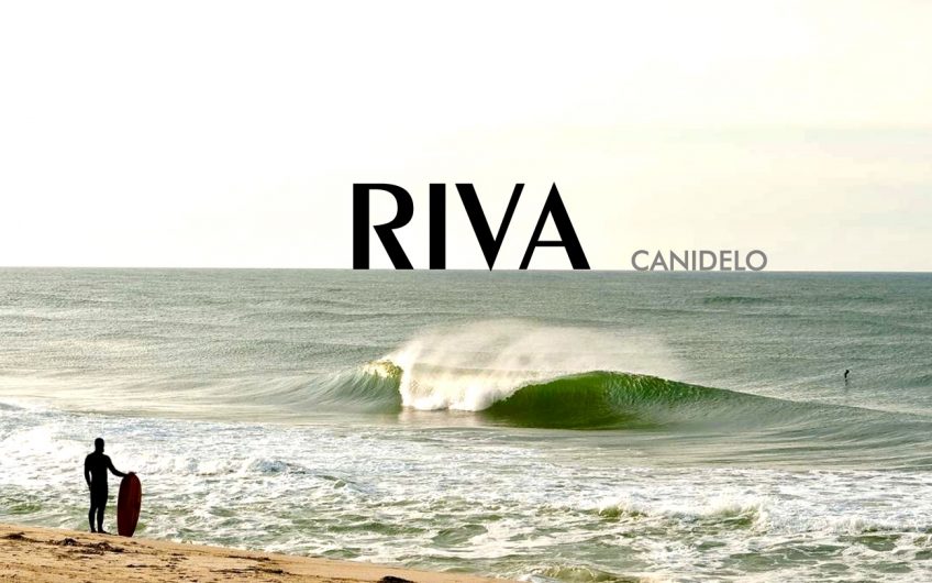 Riva Housing | Canidelo, VN Gaia